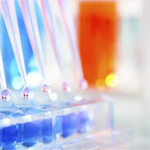 Closeup of Assay About PreservaStem - Extensive scientific expertise with placental stem cells